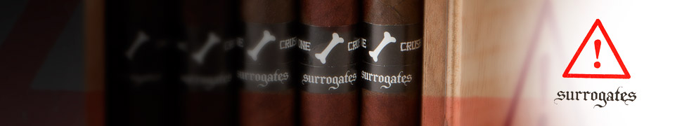 Surrogates